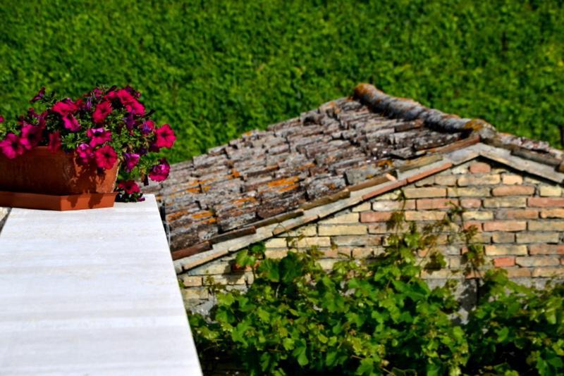 B&B Casale Fonte Vecchia Monteprandone Exterior photo